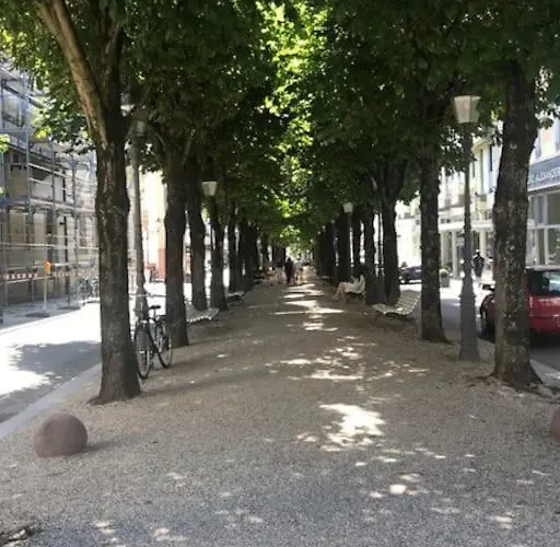 Wohlfuehloase Im Zentrum Von Baden Baden